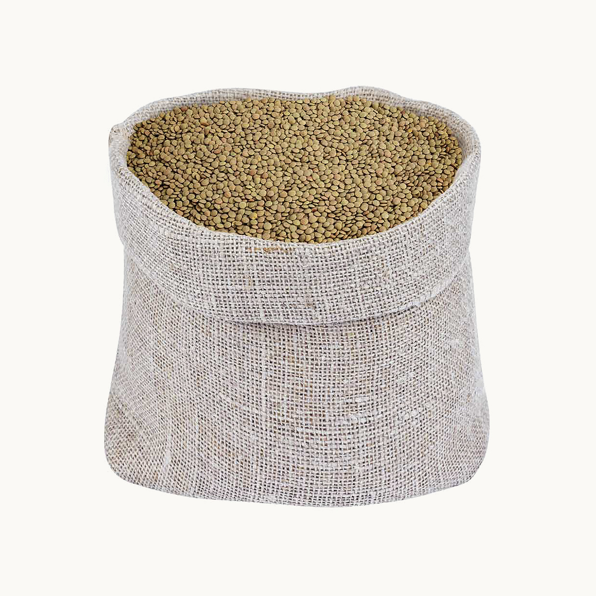 Lenteja Richlea Americana Saco