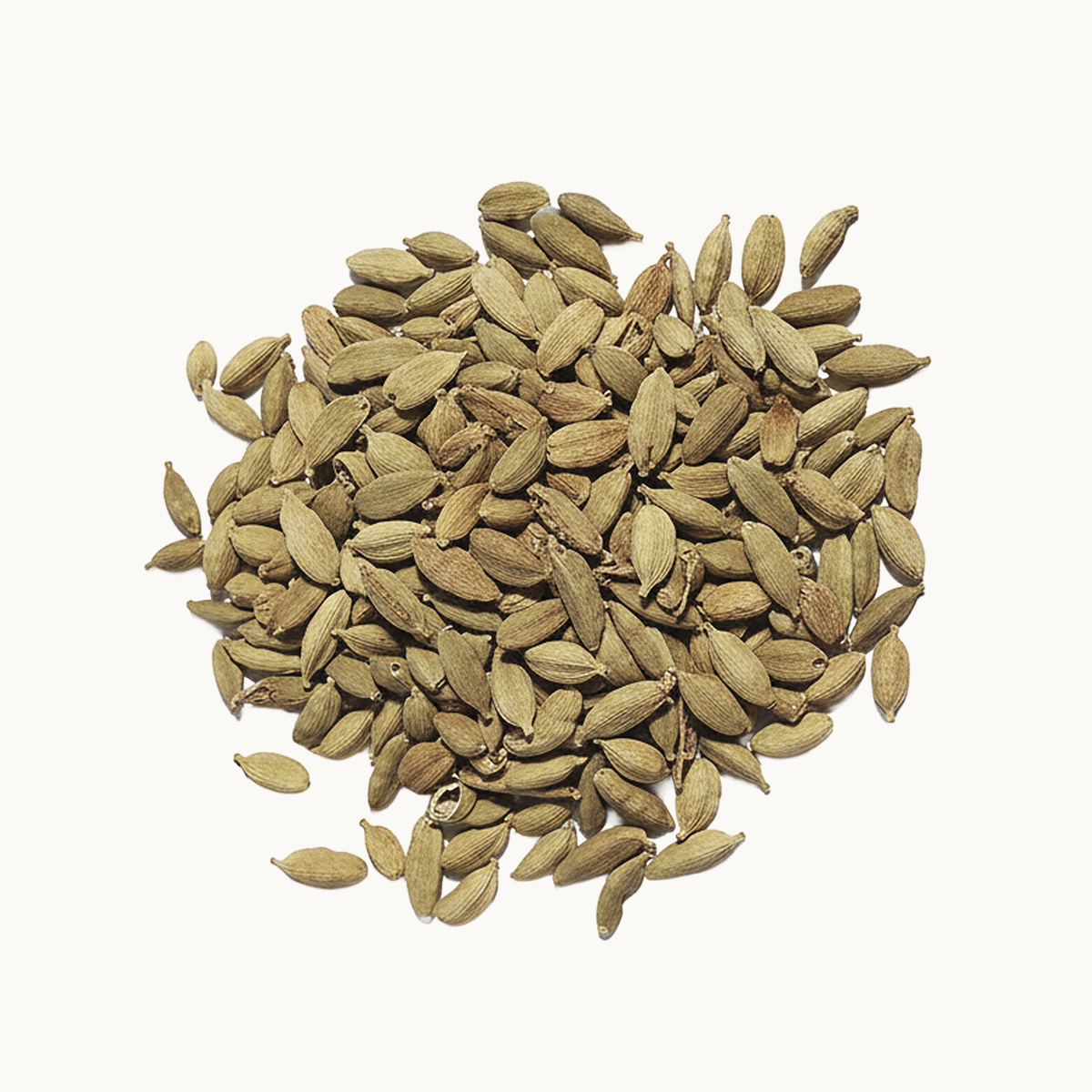 Cardamomo